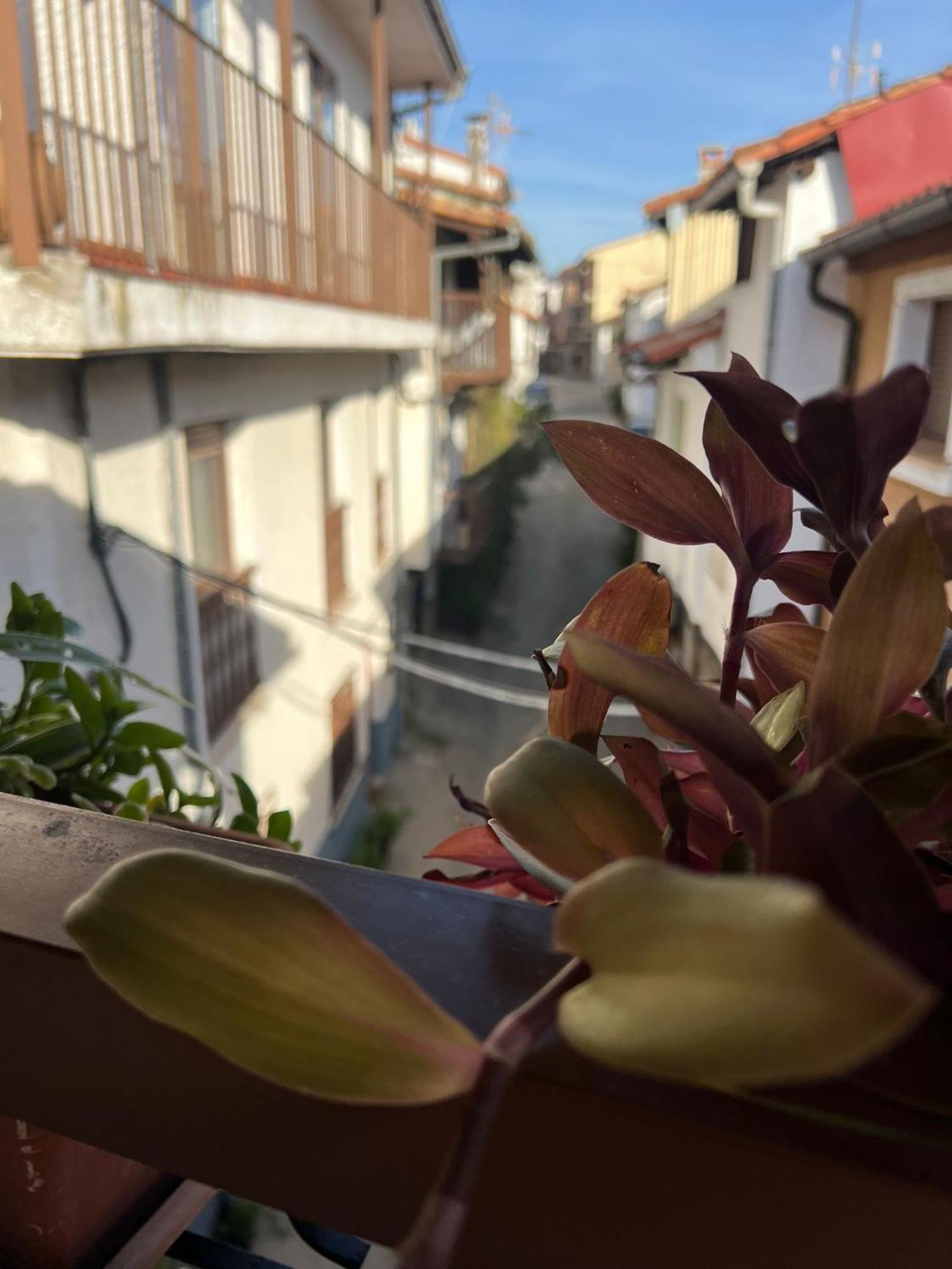 Apartament La Golondrina Candeleda Zewnętrze zdjęcie