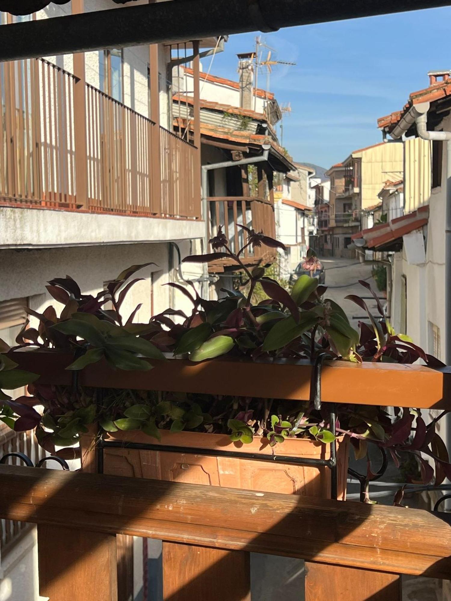 Apartament La Golondrina Candeleda Zewnętrze zdjęcie