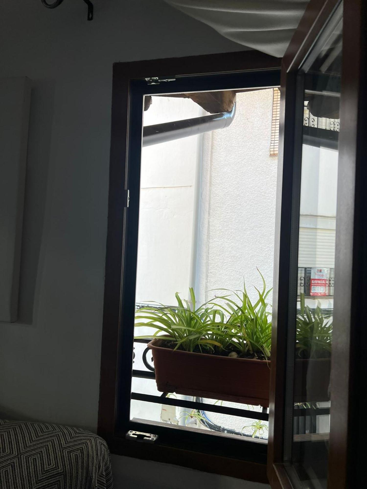 Apartament La Golondrina Candeleda Zewnętrze zdjęcie